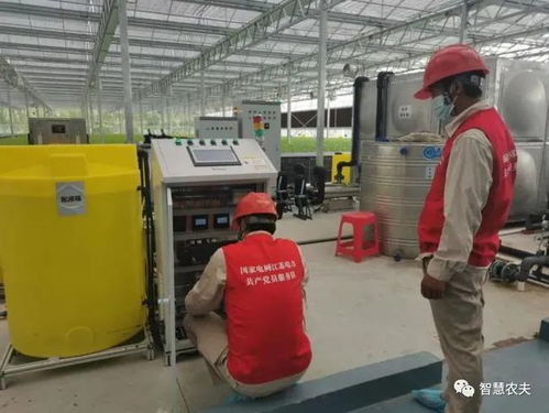 颠覆传统 信息技术咨询服务如何赋能LED人工光蔬菜种植园