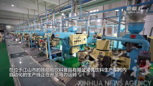 奋斗正当时 浙江信息技术咨询服务企业新春开工忙，蓄力数字新程