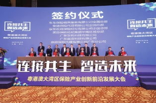 7个保险项目签约落户禅城，信息技术咨询服务成产业升级新引擎