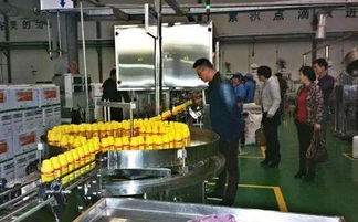 小小靓科技 无人农药工厂 开启 智造 新时代